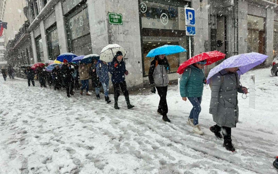 Ljubljana v snegu in Prirodoslovni muzej Slovenije