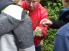IMG_20250515_083541