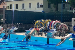 Državno tekmovanje v plavanju